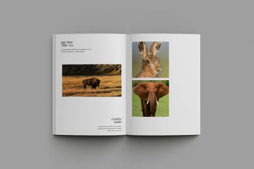 Photography Albam Book Template