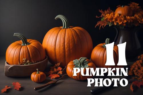 Deeezy - 11 Pumpkin Arrangement Stock Photos