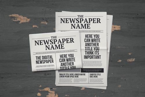 Deeezy - Newspaper Quick Illustrator Pages Templates