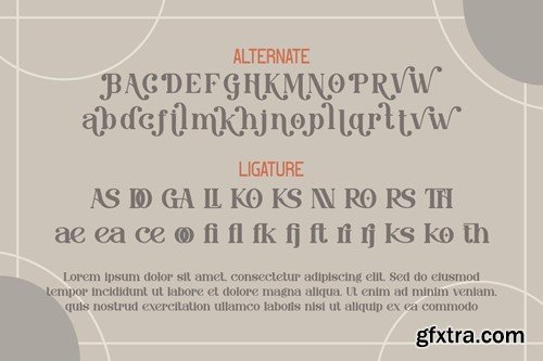 Veriteano - Modern Serif Display ER9WKGS