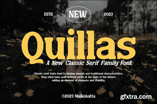 Quillas - Classic Serif Family Font VAWCEXS