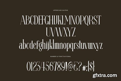 Ragista Elegant Ligature Serif Font Typeface GAQ2LX5