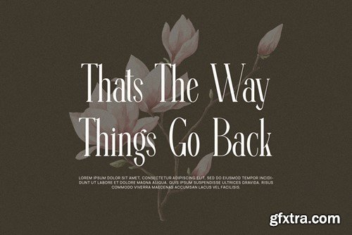 Ragista Elegant Ligature Serif Font Typeface GAQ2LX5