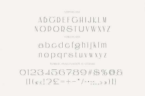 Deeezy - Angela Hughes Elegant Ligature Sans