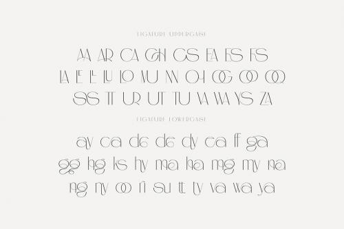 Deeezy - Angela Hughes Elegant Ligature Sans