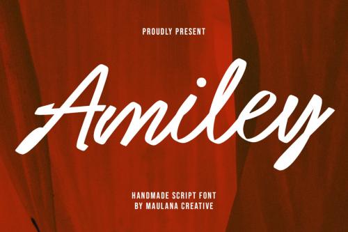 Deeezy - Amiley Handmade Script Font