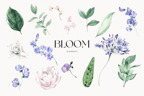 Bloom Watercolor Elements