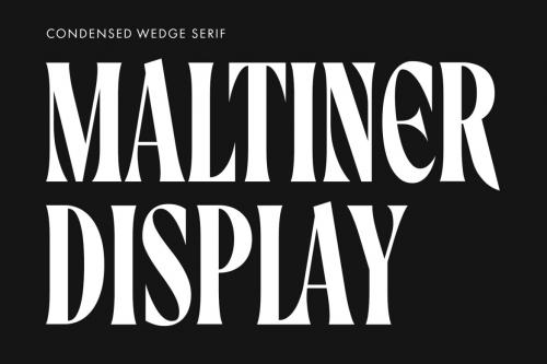 Deeezy - Maltiner Display