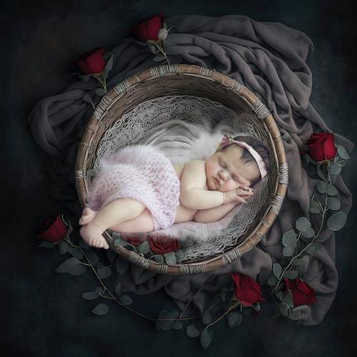 25 Newborn Digital Backdrops - Backgrounds