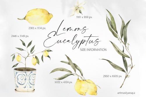 Watercolor Lemons and Eucalyptus clipart