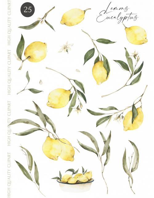 Watercolor Lemons and Eucalyptus clipart