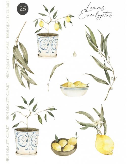 Watercolor Lemons and Eucalyptus clipart