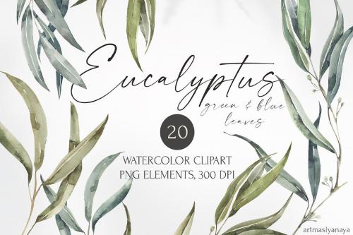 Watercolor Eucalyptus leaves clipart.