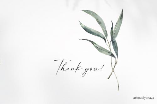 Watercolor Eucalyptus leaves clipart.