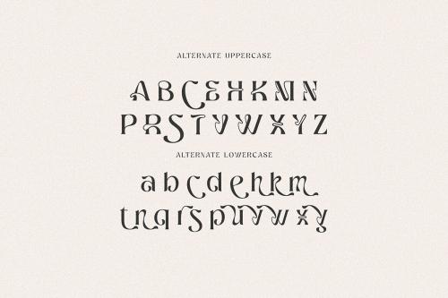 Deeezy - Ragnheidr Unique Serif