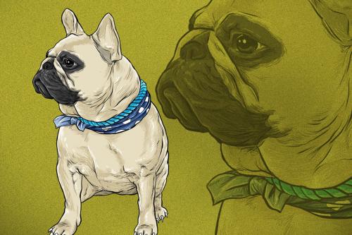 Deeezy - Hand drawn pug dog illustration