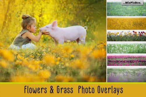 Deeezy - Flowers and Grass Overlays