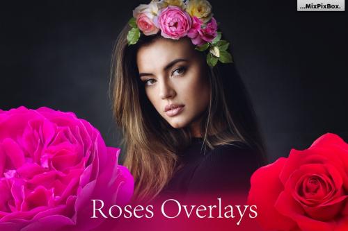 Deeezy - Roses Photo Overlays