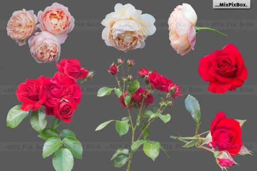 Deeezy - Roses Photo Overlays