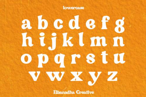 Deeezy - BEVIKARI – CLASSY SERIF FONT