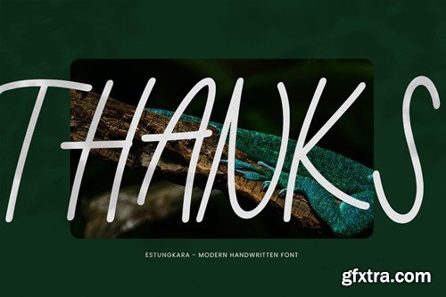 Estungkala - A modern monoline handwritten font WRD7AVD