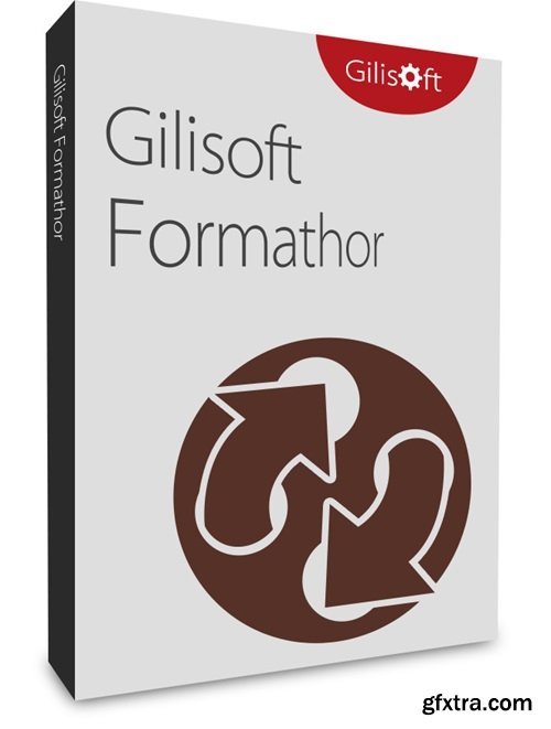 GiliSoft Formathor 7.3