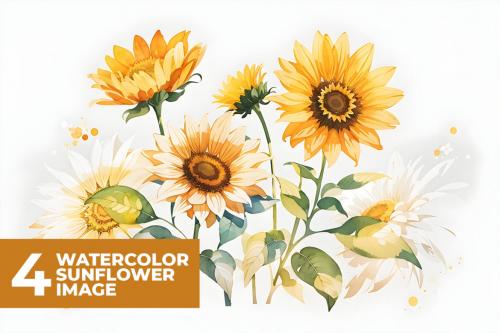 Deeezy - 4 Watercolor Sunflower Illustration Stock Images