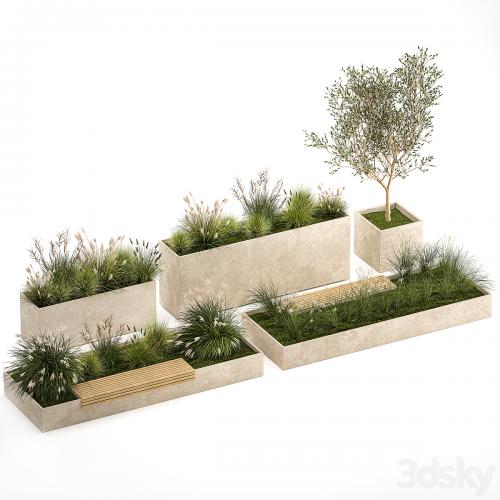 Collection of plants for the urban environment with a flower bed, a bench and concrete outdoor flowerpots, bushes and grass, Miscanthus, olive tree, garden. 1141.