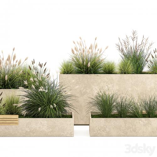 Collection of plants for the urban environment with a flower bed, a bench and concrete outdoor flowerpots, bushes and grass, Miscanthus, olive tree, garden. 1141.