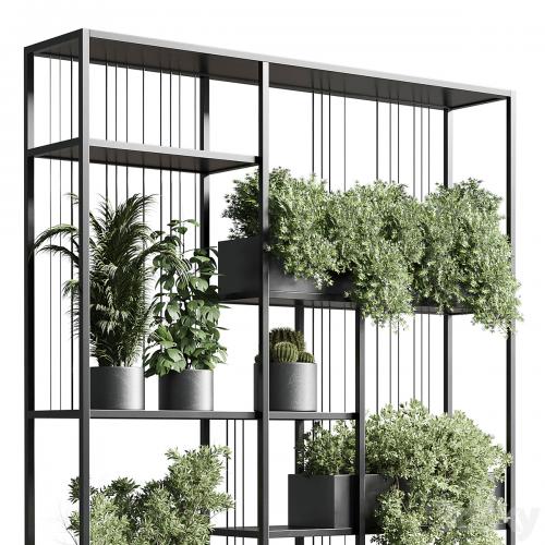 Standing metal shelf with a set of plants in concrete and metal boxes 325