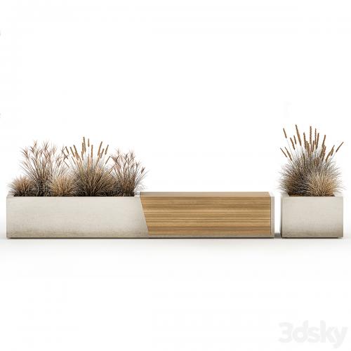 Bench flowerbed for the urban environment in a concrete flowerpot with bushes of reeds and dried flowers, dry grass. 1142.