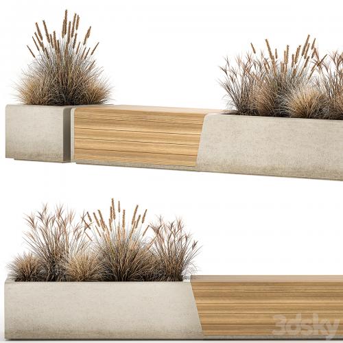 Bench flowerbed for the urban environment in a concrete flowerpot with bushes of reeds and dried flowers, dry grass. 1142.