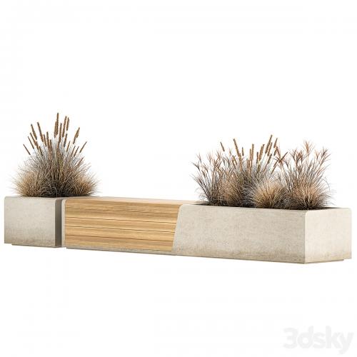 Bench flowerbed for the urban environment in a concrete flowerpot with bushes of reeds and dried flowers, dry grass. 1142.