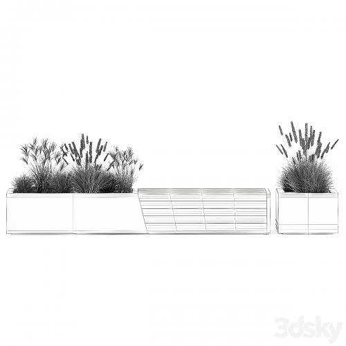 Bench flowerbed for the urban environment in a concrete flowerpot with bushes of reeds and dried flowers, dry grass. 1142.