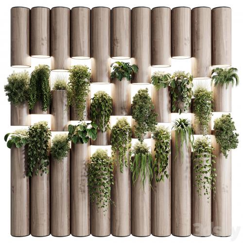 plants set partition in wooden frame- Vertical graden wall decor box 30