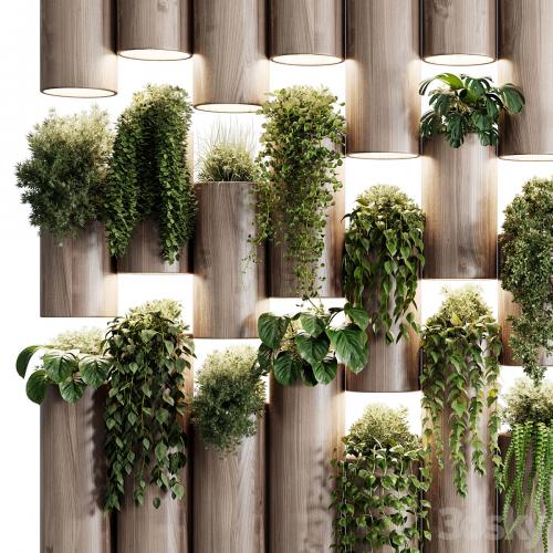 plants set partition in wooden frame- Vertical graden wall decor box 30