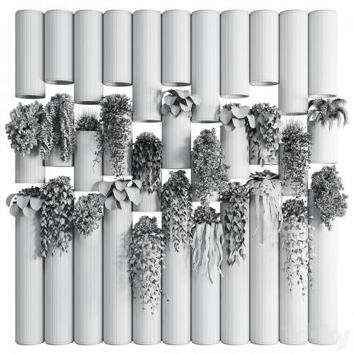 plants set partition in wooden frame- Vertical graden wall decor box 30