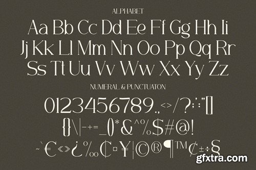 Minorid - A Modern Serif Font W3W825P