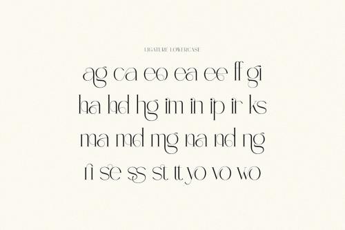 Deeezy - Shaun Gilchrist Luxury Serif