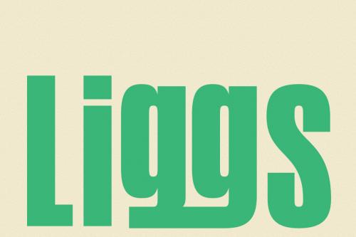 Deeezy - Maggies Condensed Display Fonts