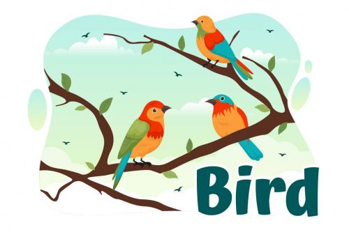 Deeezy - 11 Bird Animal Vector FREE Illustration