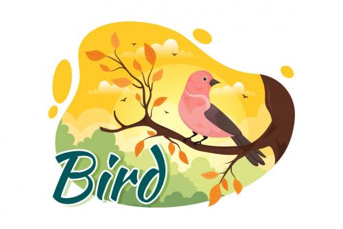 Deeezy - 11 Bird Animal Vector FREE Illustration