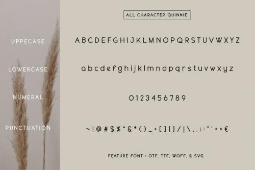 Deeezy - Quinnie Font