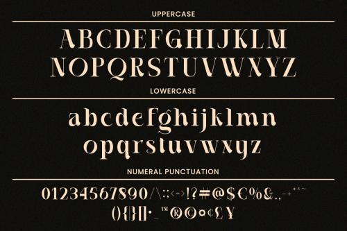 Deeezy - Casthelic - Elegant Serif Typeface