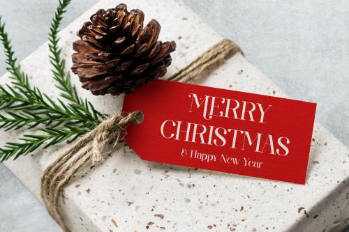 Deeezy - Magic Christmas - Elegant Serif Typeface