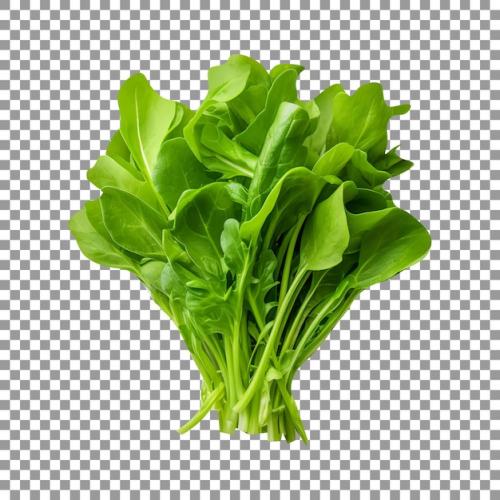 Fresh Green Roquette Arugula Isolated On Transparent Background