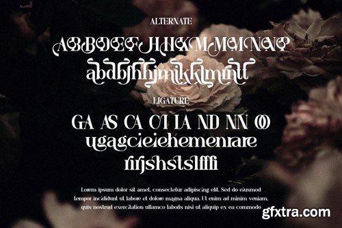 Hugedira - Elegant Serif Display Font P9HLZJ2