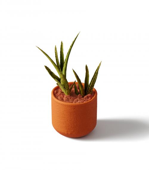 Creatoom -  Aloe In Pot V1 Isometric