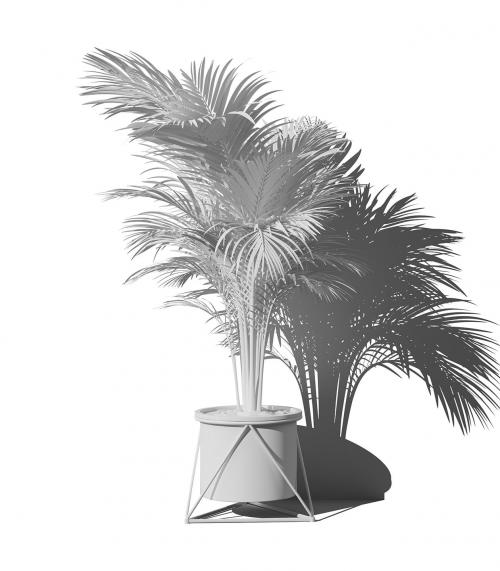 Creatoom -  Clay Areca Palm In Pot V1 Front View