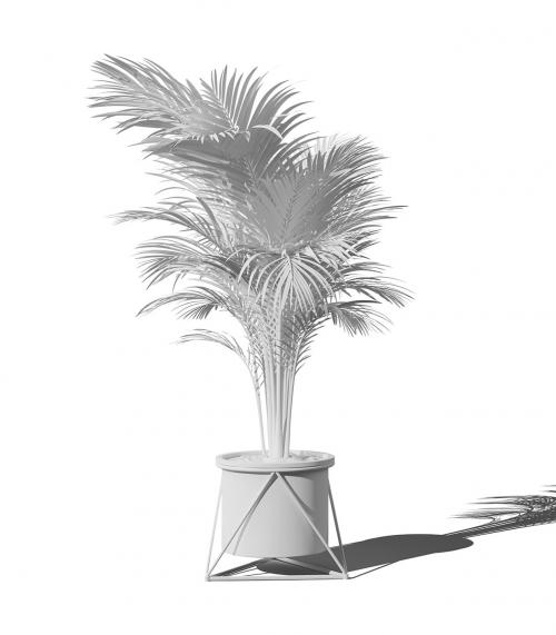 Creatoom -  Clay Areca Palm In Pot V2 Front View